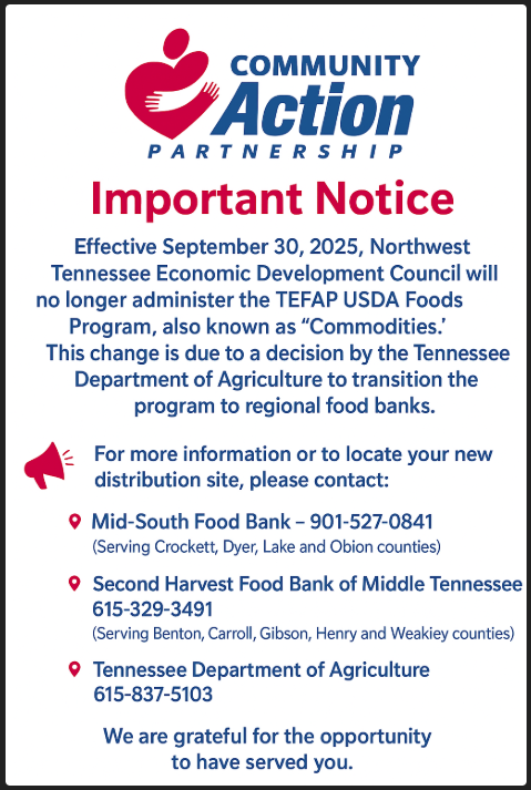 Screenshot 2025 08 28 100355